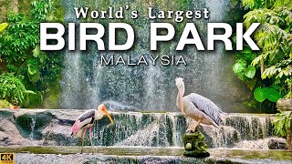 KL Bird Park - World’s Largest Bird Park in Kuala Lumpur Malaysia