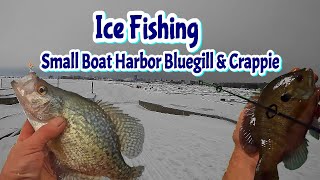 Ice Fishing Bluegill \u0026 Crappie @ Small Boat Harbor - Lake Erie