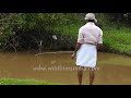 local fishermen in munnar fishing near the high range club stream