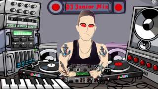 Dj junior disco somos ladrones