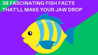 38 Fascinating Fish Facts That'll Make Your Jaw Drop #facts #fish