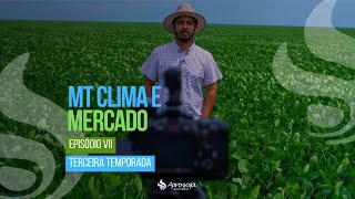 Episódio 7 - MT Clima e Mercado