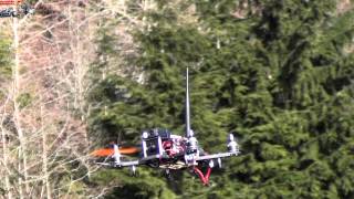 Lumenier QAV250 Quadcopter