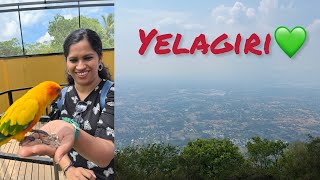 ബാംഗ്ലൂരിൽ നിന്നും Yelagiri വരെ പോയാലോ? | Day trip to Yelagiri Tamilnadu | Getaway from Bangalore.