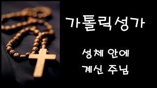 가톨릭 성가 - 성체 안에 계신 주님 (Korean Catholic Hymns)