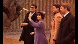 The Seekers - Don't Think Twice, It's All Right (with lyrics)