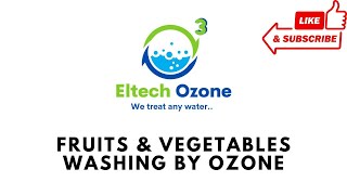 Eltech Ozone's Vegetable Washing Machine in Mumbai, India