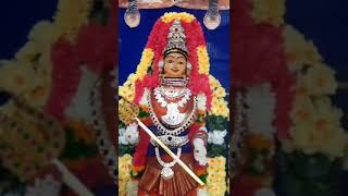 Dharapuram navarathri 2024