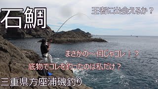 磯の王者　石鯛釣り　三重県方座浦　2020/9