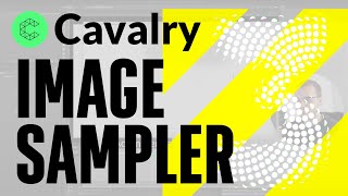 Animate w/ Image Sampler in Cavalry—Tutorial