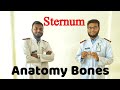 Sternum Demonstration | Parts , Attachment , Relation , Anatomical Points | Thorax- (Part-1)