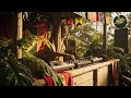 🌿 Deep Roots Reggae Vinyl Set 2025 🌿 | Organic Dub Bass & Spiritual Flow