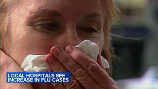 Flu cases surge in Illinois amid intense respiratory virus season