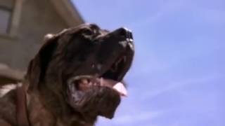 Sandlot 2 Part 9