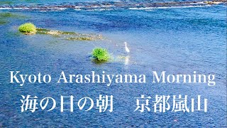 2023年7月17日(㊗️) 海の日の朝　京都嵐山🇯🇵 Kyoto Arashiyama in the morning of Marine Day