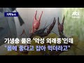 [자막뉴스] 곰팡이균 퍼뜨리는 '미국가재', 올해 벌써 만 마리나… / JTBC News