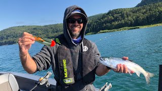 Killin Kokanee and HUGE Trout featuring Patrick with Deadly Venom Tackle!