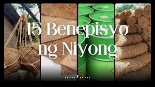 ANG LABING LIMANG BENEPISYO NG NIYOG | ALAMIN!