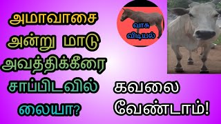 அமாவாசை அன்று பசு மாடு அகத்திக்கீரையை சாப்பிட வில்லையா கவலை வேண்டாம்