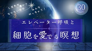 【ネドじゅんさん】しあわせ　豊かさ　なりたい自分　みんな叶うエレベーター呼吸＋細胞を愛でる瞑想