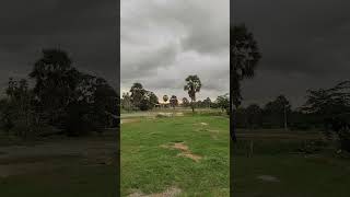 ទេសភាពវាលស្រែនៅភូមិឈូក Landscape of rice fields in Chhouk village #Rurallandscape