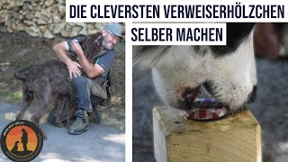 Dem Hund das Verweisen auf einfachste Art beibringen | Hundeschule U.B.