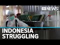 Indonesia struggles to contain coronavirus | ABC News