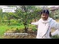 farmers review orange nagpur nagpurioranges mausambi vidarbha