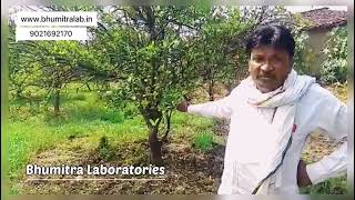 Farmers Review #Orange #Nagpur #NagpuriOranges #Mausambi #vidarbha