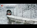 赤い電車、大集合！～railwaymoviesの蔵出し映像～ 全国各地の赤い電車特集 ~red body trains in japan~