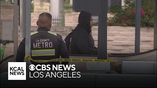 Homeless man arrested for allegedly stabbing woman to death on LA County Metro train