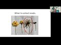 grow native webinar collecting native seeds u0026 winter sowing with julie farstad