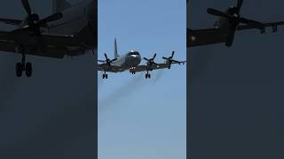 P-3C哨戒機　八戸基地❶2024.5.2【masamasa】＃海上自衛隊＃第2航空群＃P-3C＃八戸基地＃青森県