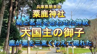 粟鹿神社  菊と茗荷を合わせた 神紋　大国主の御子 天美佐利命 　粟を３束くわえて現れた鹿　粟鹿大明神元紀　神代からの系図