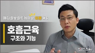 [메디컬보컬트레이닝] 발성이론 #6 호흡근육의 구조와 기능