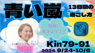 青い嵐の13日間の過ごし方