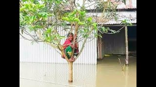 বন্যাকবলিত অঞ্চলগুলোতে Bonnai korun obostha বন্যা পরিস্থিতি কতটা ভয়াবহ Dangerous flood