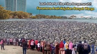 Warga Jakarta Gempar! Ribuan Ikan Pedalaman Laut Mendadak Penuhi Daratan! Fenomena Alam