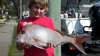 Catch Gallery: 3.5Kg Snapper from Caloundra 19/09/2011