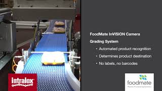 Intralox AIM Multilane Sorter Case Study