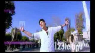 Dookudu guruvaram video song