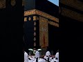 islamicvideo beautiful subhanllah subhanallah love subhanallaah allah