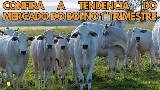 HORA DO BOI 14/01 - CONFIRA A TENDENCIA DO MERCADO DO BOI NO 1° TRIMESTRE