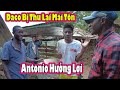 Mua Tôn tặng Daco|| Antonio và Daco cảm thấy bị lú quá!|| 2Q VLogs cuộc Sống châu Phi