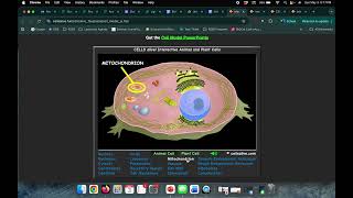 Cells ALive Webquest Directions Video