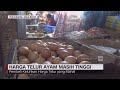 Harga Telur Ayam Masih Tinggi