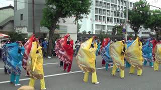 須賀IZANAI連・高知よさこい本祭2019（梅ノ辻競演場）