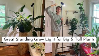 Best LED Grow Light for Tall \u0026 Big Plants - Floor Lamp