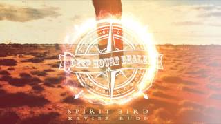 Xavier Rudd - Spirit Bird (Lexer Remix)