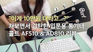 쳐보면서 찐감탄한 입문용 통기타 콜트 AF510 \u0026 AD810 비교 리뷰 (입문용 통기타 추천)